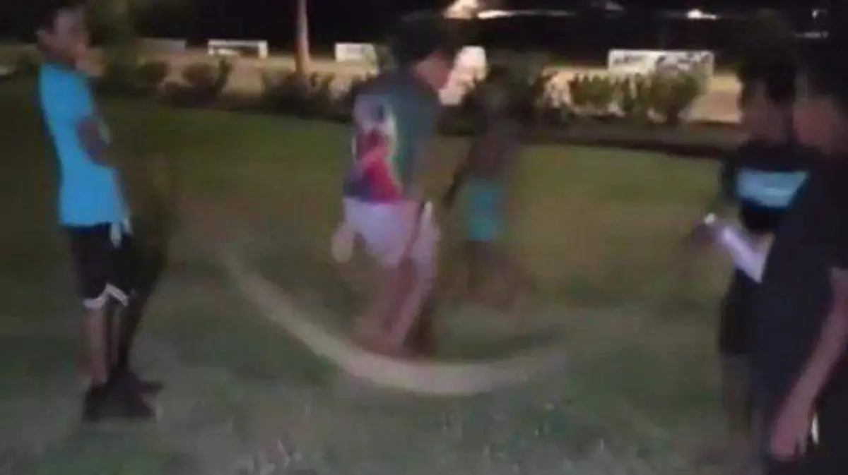 Indignación en redes sociales por video de niños utilizando una serpiente como cuerda para saltar